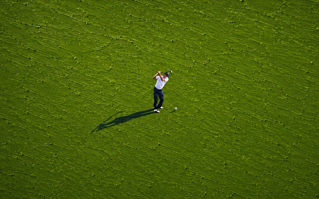 Fairway Collection – 5 Wallpapers