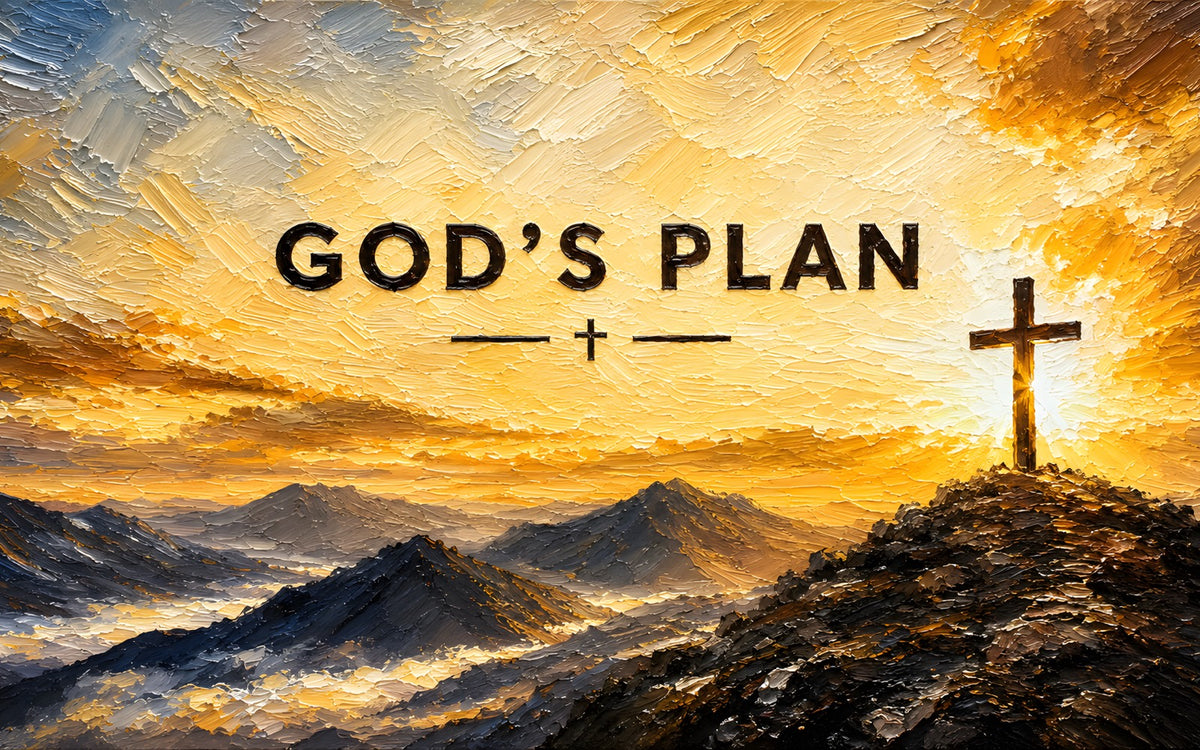 God's Plan Collection